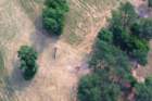 aerial11_small.jpg