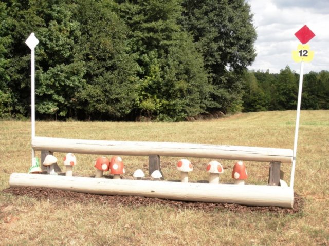 begnovice12.jpg