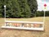 begnovice12_small.jpg