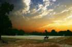 dressagesunset_small.jpg