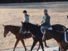 dsc01342_small.jpg