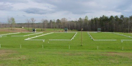 dressage1.jpg