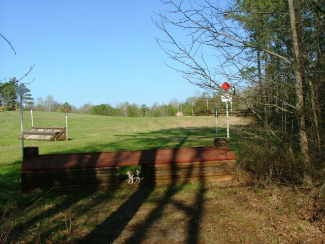 dogtrotcabinxcjump.jpg