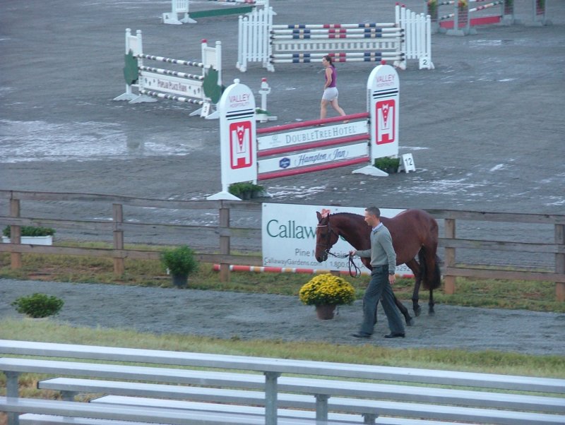 dscf2853.jpg