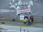 dscf2853_small.jpg