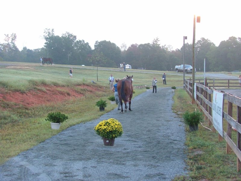 dscf2909.jpg