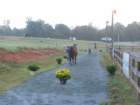 dscf2909_small.jpg