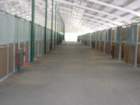 showbarnaisle_small.jpg