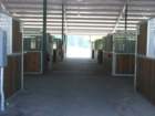 showbarncrossaisle_small.jpg