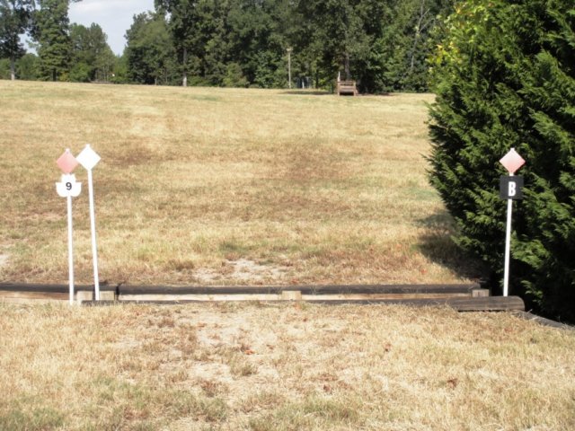 training14b.jpg
