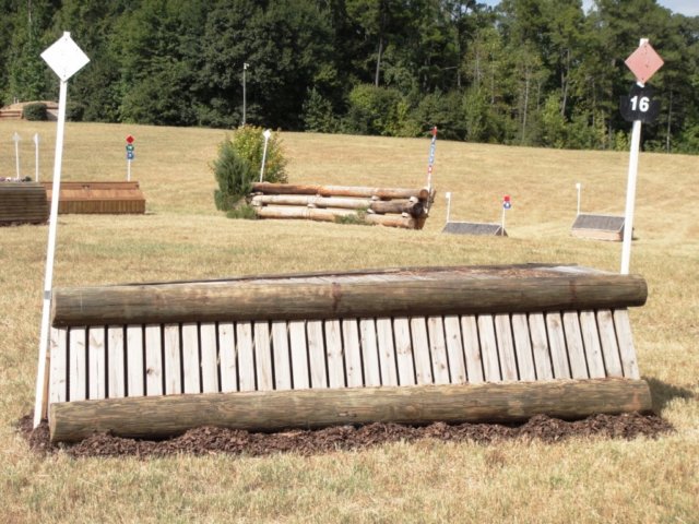 training16.jpg