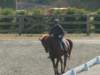 dscf3526_small.jpg