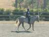 dscf3527_small.jpg