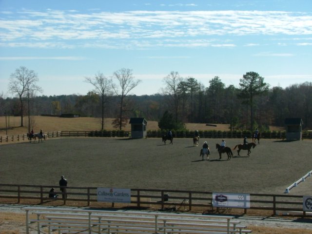 dscf3543.jpg
