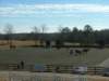 dscf3543_small.jpg