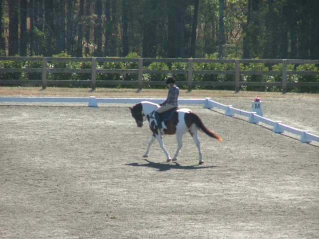 dscf3544.jpg