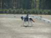 dscf3544_small.jpg