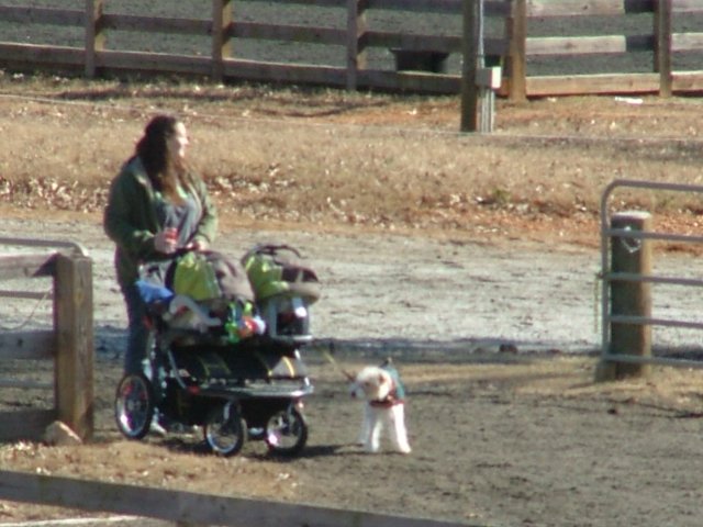 dscf3545.jpg
