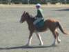 dscf3546_small.jpg