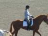 dscf3547_small.jpg