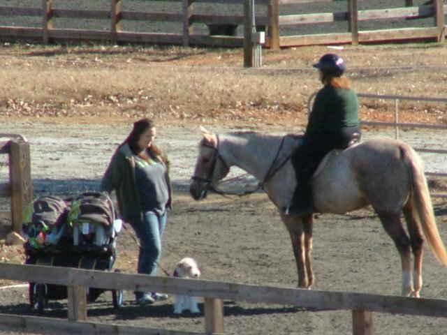 dscf3552.jpg
