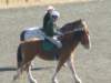 dscf3553_small.jpg