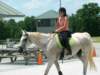 dscf4172_small.jpg