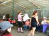 dscf4238_small.jpg