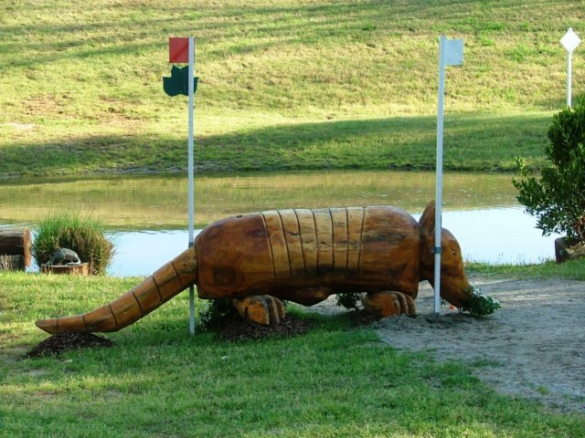 armadilloxcjump.jpg
