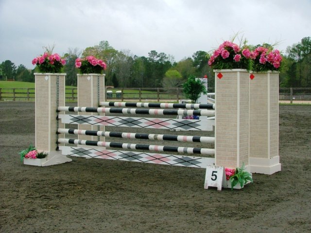 pinkargyleshowjumpwithcolumns.jpg